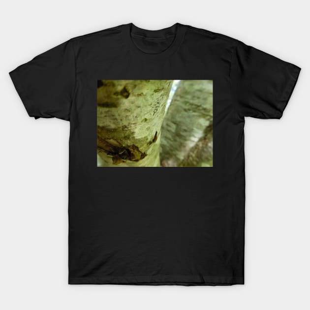 Scottish Photography Series (Vectorized) - Woodland Tree Bark T-Shirt by MacPean